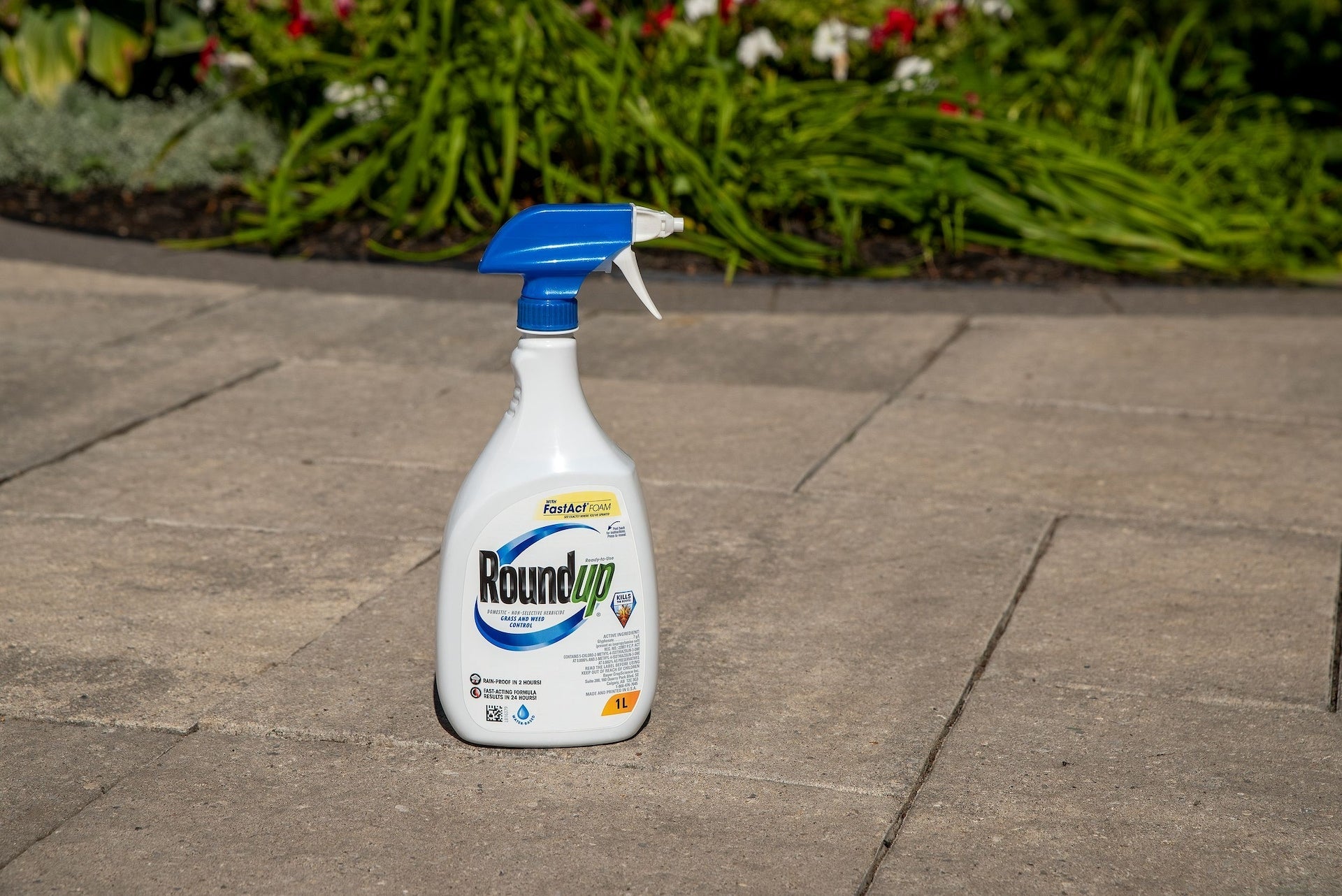 RoundUp Ready-to-Use Herbicide Grass & Weed Control/Killer with Fast Fact Foam, 1-L